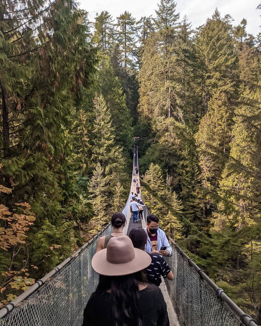 Are Dogs Allowed At Capilano Suspension Bridge