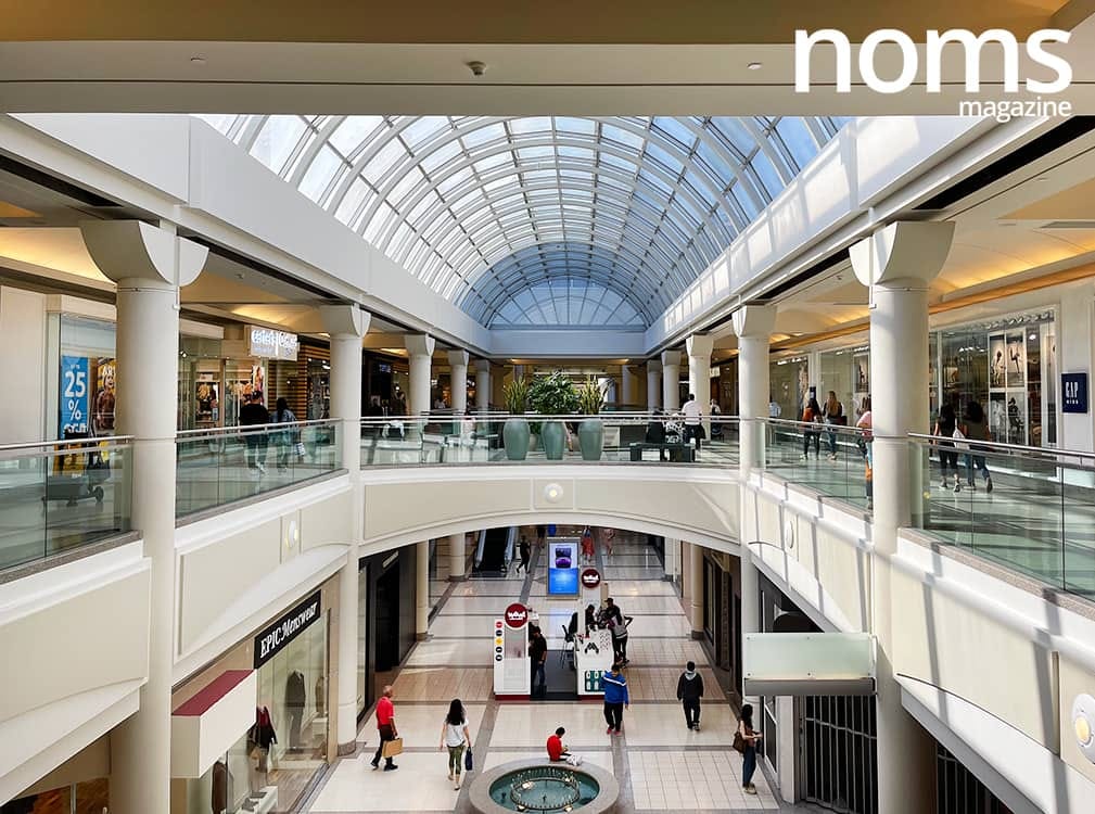 Are Dogs Allowed In Metrotown Mall